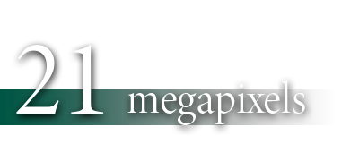 21 megapixels