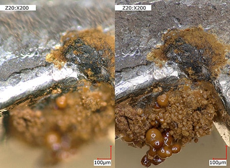 Corroded part of an automotive component Left: normal/right: depth composition (200x)