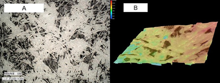 A. Analysis of reproduced sample (300x)  B. 3D shape measurement of reproduced sample