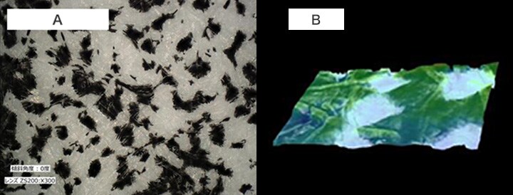 A. Analysis of faded sample (300x)  B. 3D shape measurement of faded sample