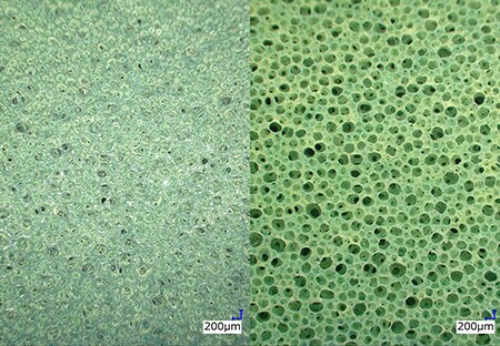 Low-magnification observation  Left: normal/right: adjustable illumination (30x)