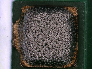 Observation of cream solder using the VHX Series 4K digital microscope