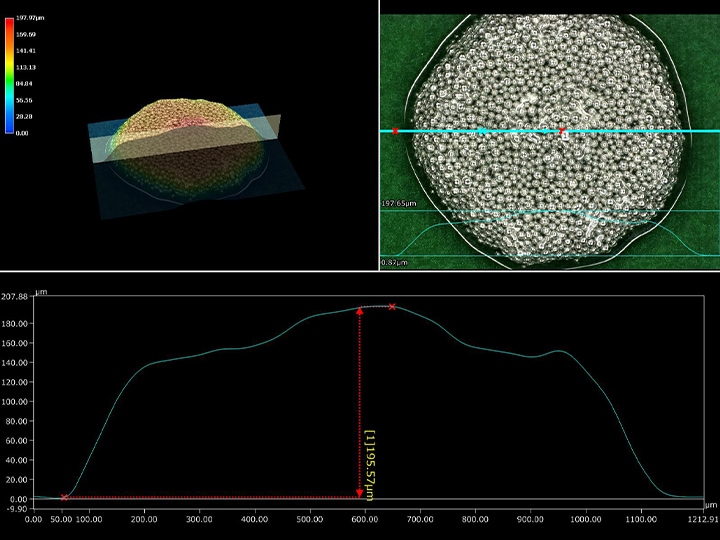 Ring illumination (300x) + 3D measurement and profile measurement in both the upper and lower examples