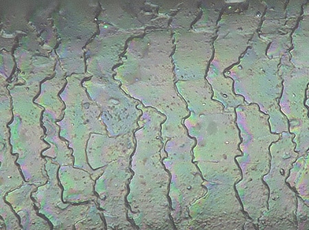 Observation and identification of hair cuticles using the VHX Series 4K Digital Microscope